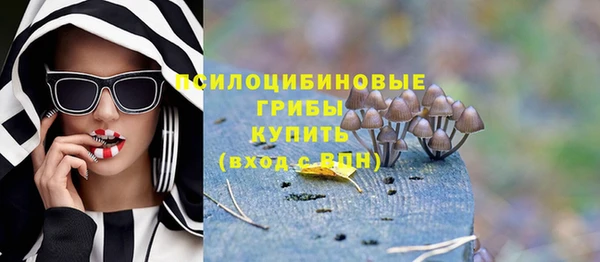 apvp Мегион