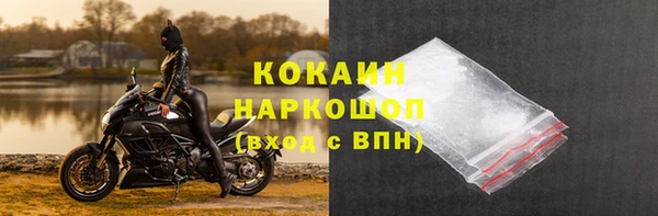 СК Медногорск
