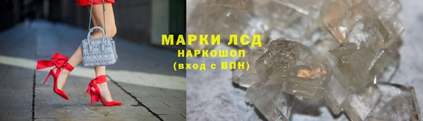 СК Медногорск