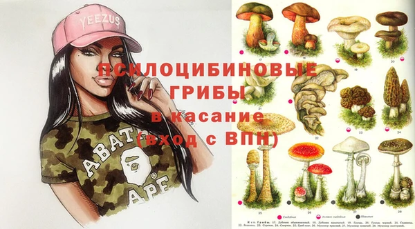 СК Медногорск