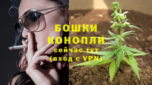apvp Мегион