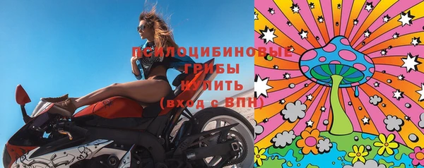 СК Медногорск